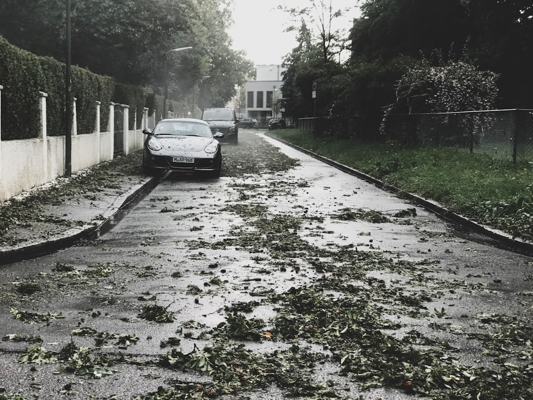 Surety insurance
