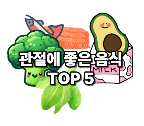 관절에 좋은 음식 TOP 5, 연골 건강 식품 추천