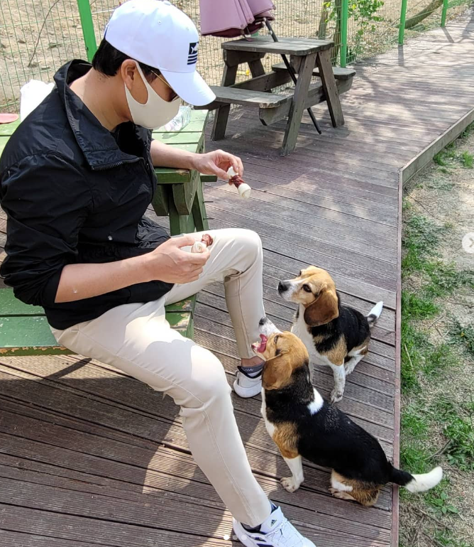 이태곤 프로필 드라마 예능 반려견 사업 결혼