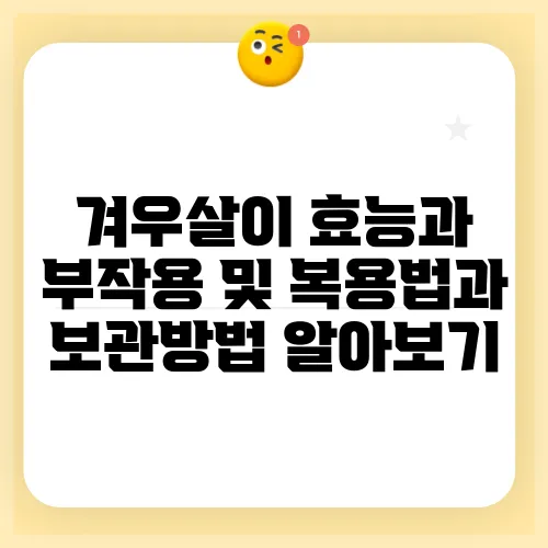 겨우살이 효능과 부작용 및 복용법과 보관방법 알아보기