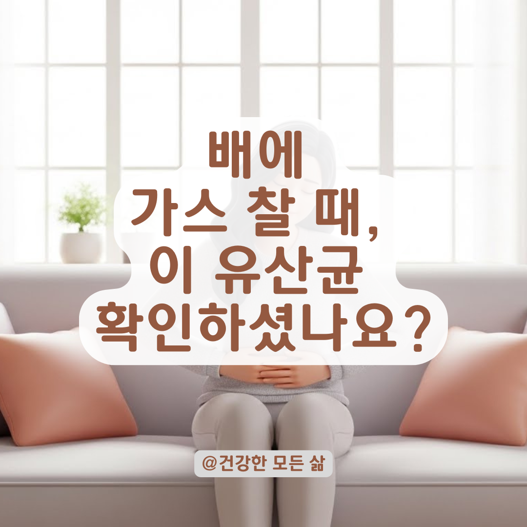 불편한 복부 팽만감 해소! 장내 가스 제거에 특화된 유산균 핵심 성분 정리