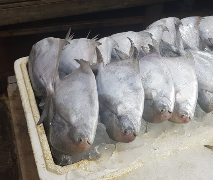 남매수산