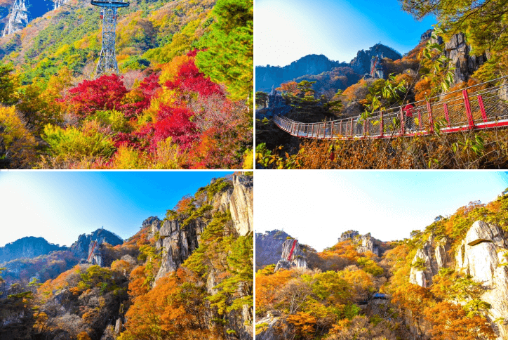 2024 단풍절정시기 지도 명소 설악산 축제 가을 지역별 시기 정보 화담숲 단풍