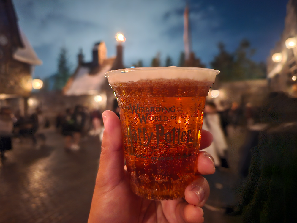 USJ 위저딩 월드 오브 해리포터