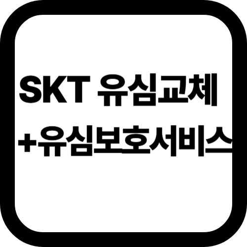 유심교체와유심보호서비스