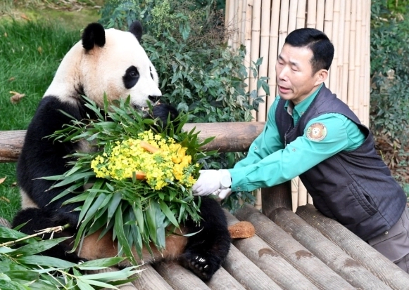 강철원 사육사 모친상 불구하고 푸바오 중국 동행 이유