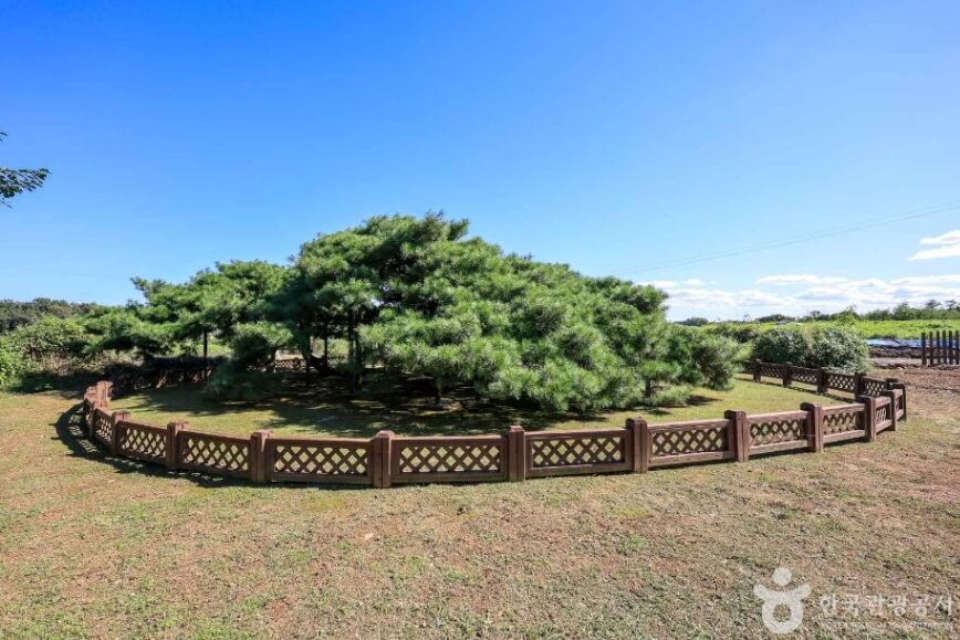 이천 가볼만한곳 베스트 10