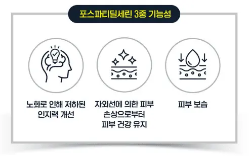 60세 이상 시니어의 기억력, 인지력 향상을 위한 뇌 건강 영양제 보령 메가브레인 포스파티딜세린 징코