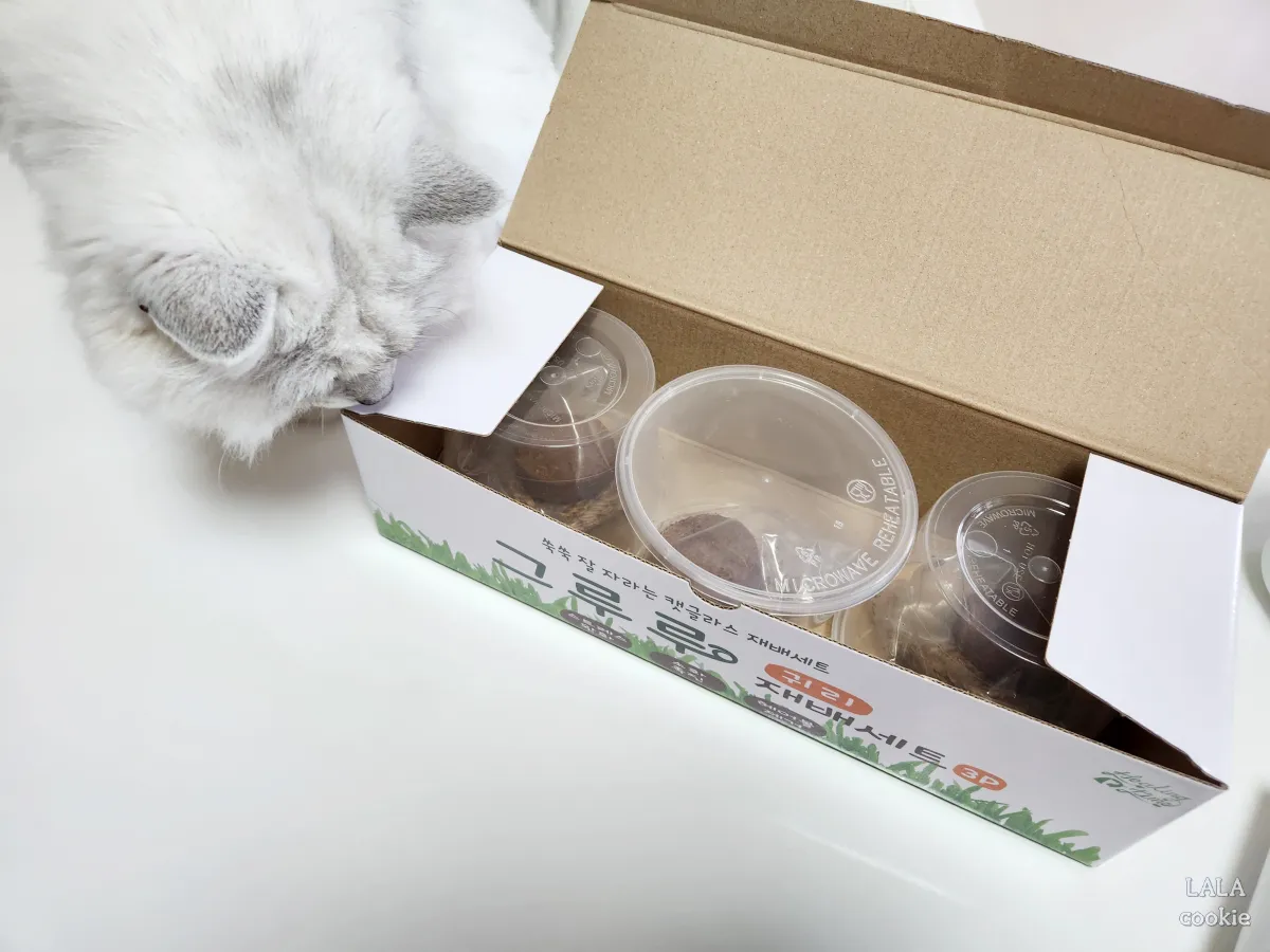 고양이-귀리-추천-그루루-포장-열어본-모습