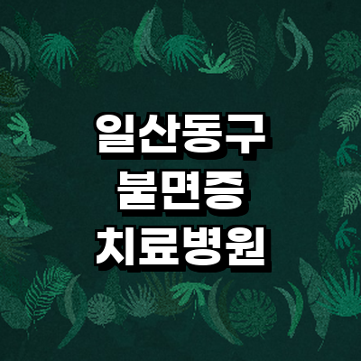 고양 일산동구 불면증