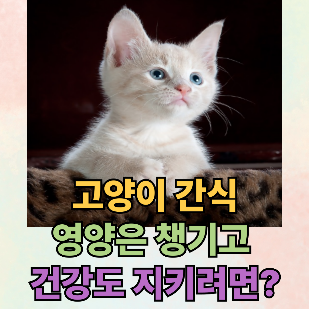 고양이 간식, 영양은 챙기고 건강도 지키려면