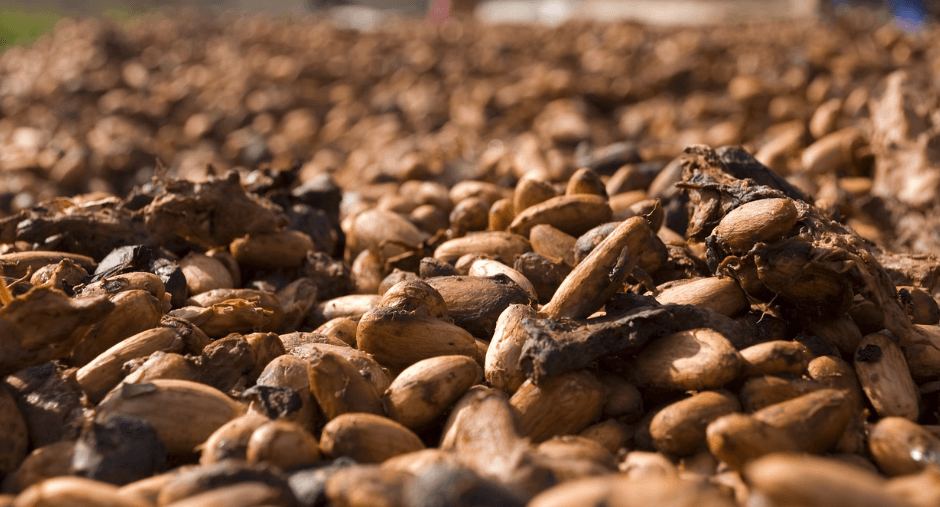 식이섬유가 많은 음식 - 1012