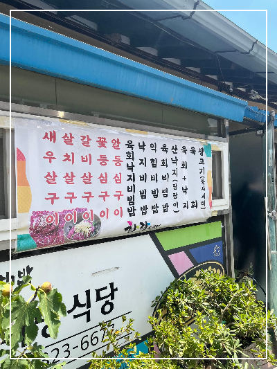 함평 화랑식당 육회비빔밥 뭉티기 생고기