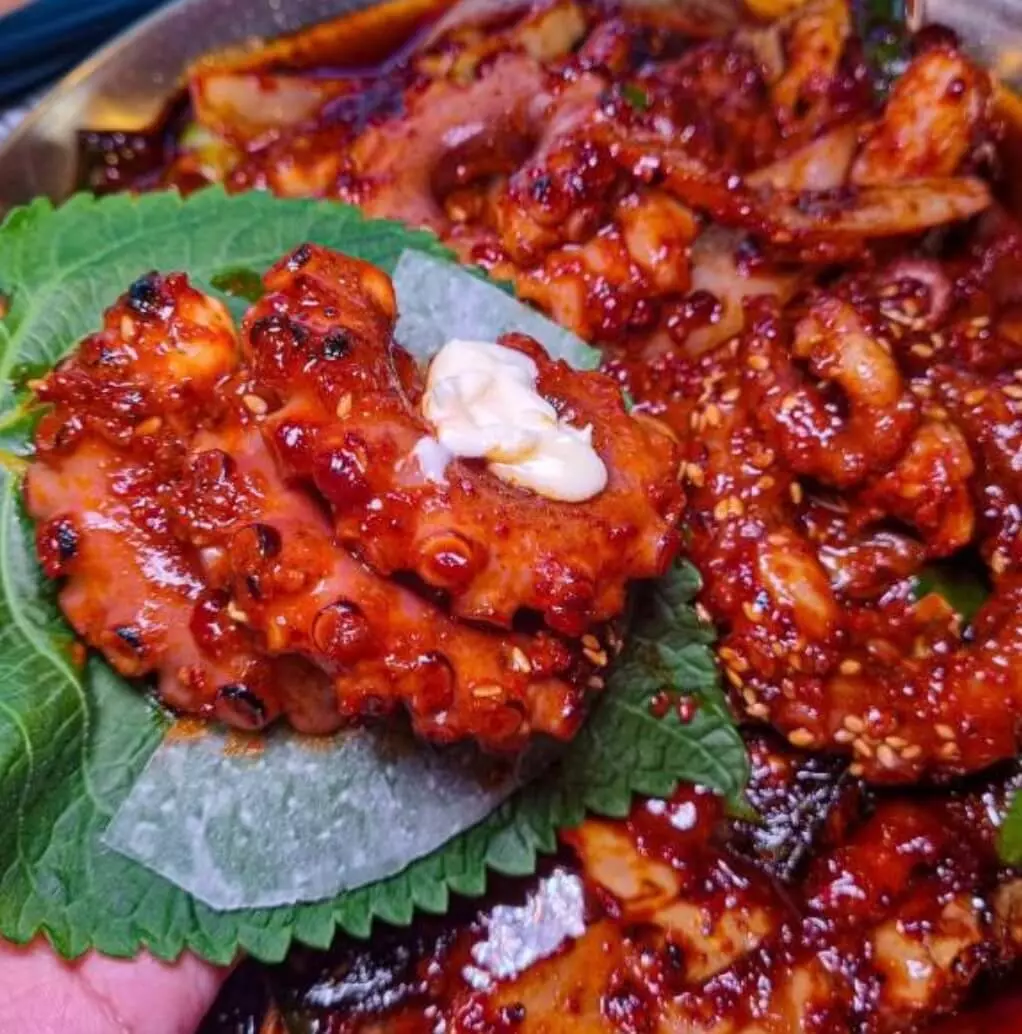 생방송-투데이-리얼-맛집-눈꽃-낙지-한상-맛집-위치-정보-안내