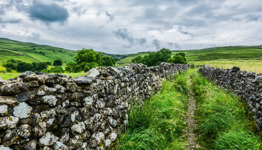 돌담풍경 관련 사진
