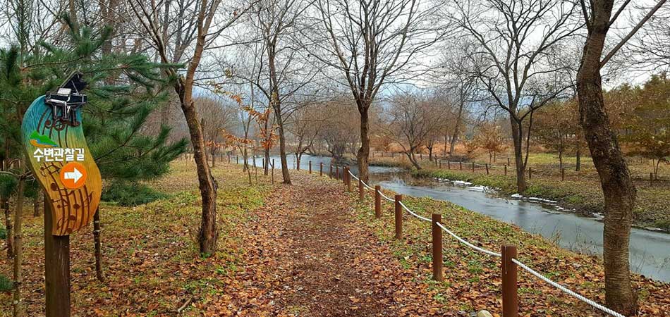 자라섬 캠핑장 인근시설