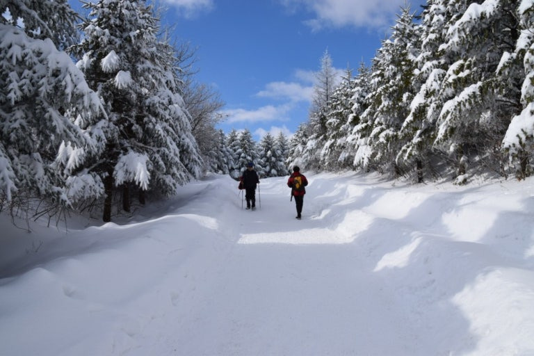 겨울 3주만 볼 수 있는 선자령 눈꽃 절경 트레킹 명소