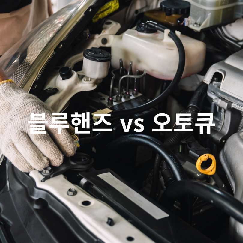 2025 현대자동차·기아자동차 여름철 무상점검 서비스