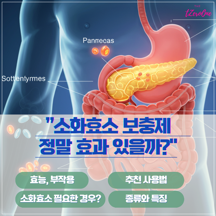 소화효소_보충제_정말효과있을까