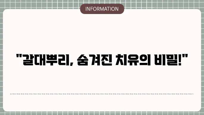 갈대뿌리효능, 해열부터 해독까지 자연이 주는 건강한 선물