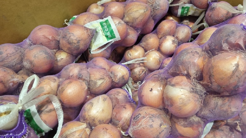 양파보관법-스타킹