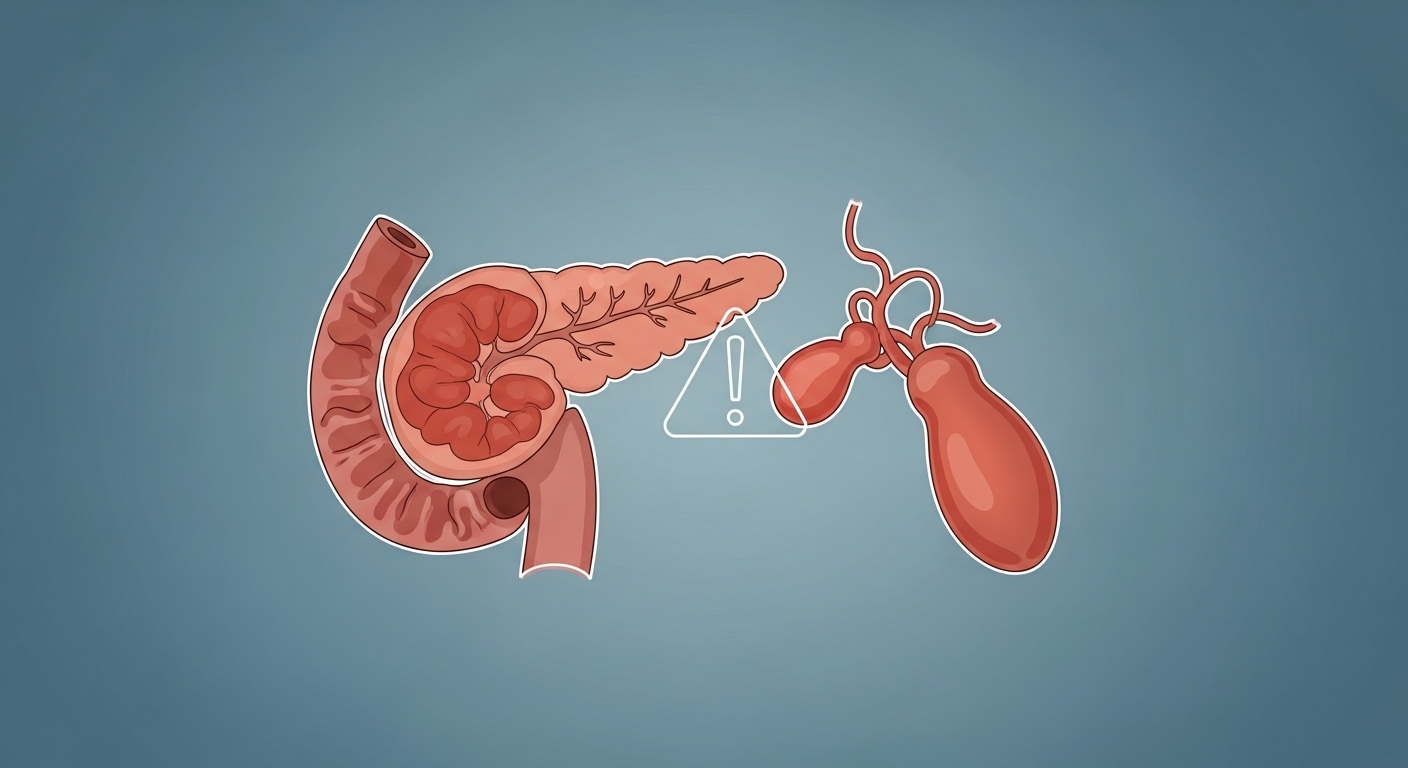 췌장염과 담낭 질환 위험을 경고하는 내부 장기 해부도 일러스트