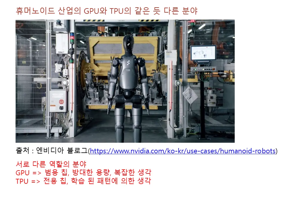 휴머노이드 산업에서의 GPU와 TPU 가 가질 포지션