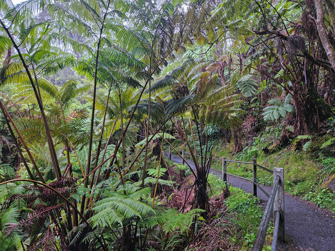 서스톤 용암 동굴 입구