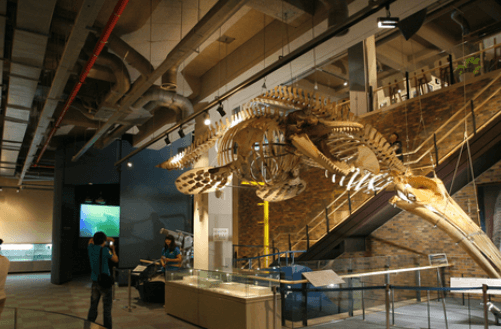 어린이날 가볼만한곳