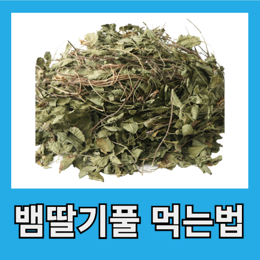 뱀딸기풀 먹는법