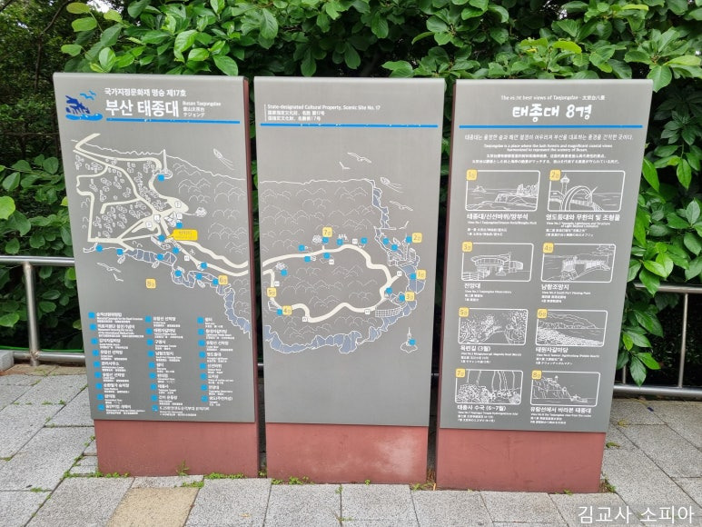 부산 태종대 폭염 여행 리얼후기🌊 여름 필수템 8가지 추천