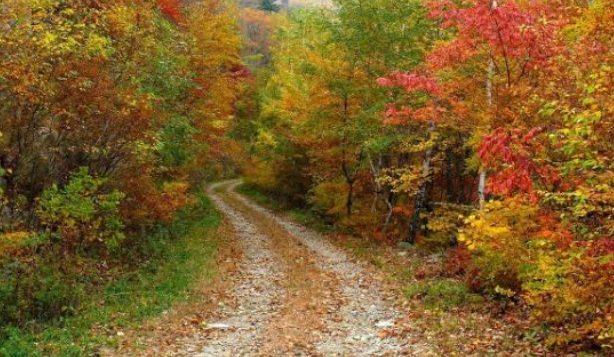 강원도 2025 단풍 산행 추천 코스 ❘ 설악산&middot;오대산&middot;치악산 절정 시기 안내