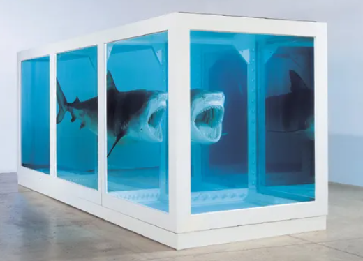 살아있는 자의 마음속에 있는 죽음의 물리적 불가능성 (1991년,죽은 뱀상어 시체를 포름알데히드에 푹 재워서 넣은 다음 유리진열장에 넣어서 표현)