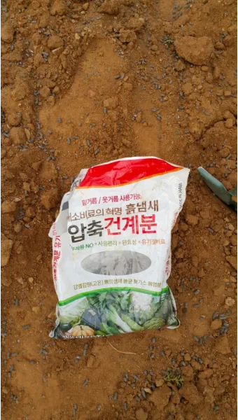 김장무 웃거름 주기 비료주는 시기와 방법을 안내_28