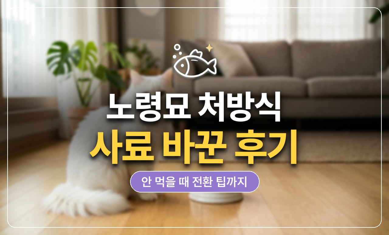 노령묘 사료 썸네일