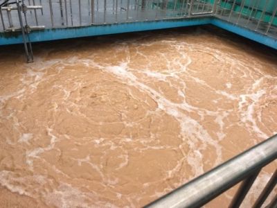 활성 슬러지 사진