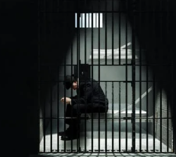 금고형이란? 뜻 알아보기