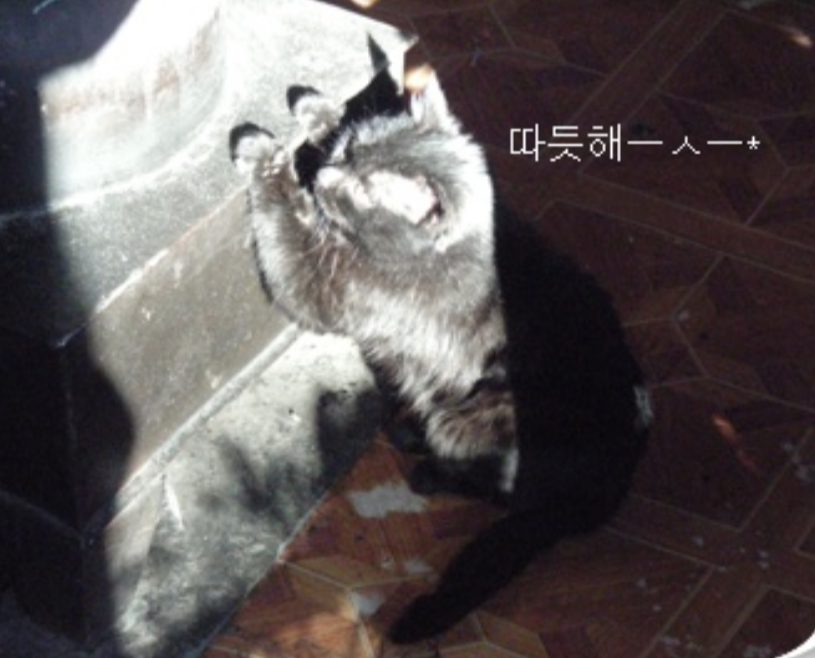 난로 쬐는 검은 고양이