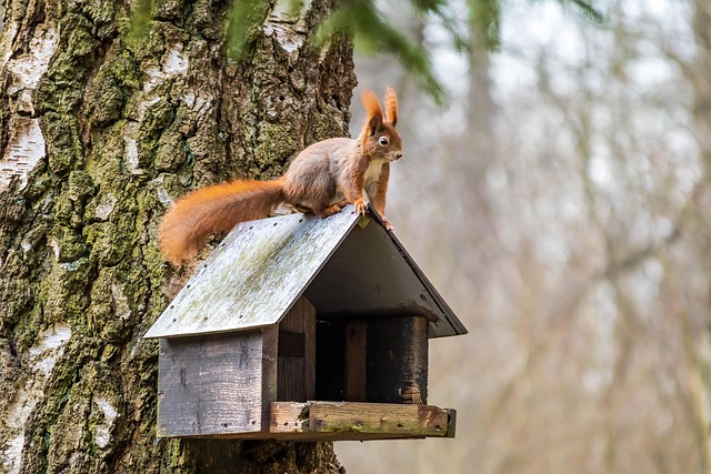 재건축 아파트 투자 분석 - 강남권 대표 단지 가격 상승 시기와 요인 완벽 정리 이미지