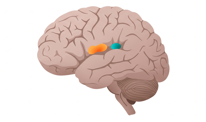 공황장애 초기증상
공황장애 약물치료
공황발작 대처법
공황장애 자가진단
공황장애 완치
인지행동치료 공황
공황장애 병원 추천
불안장애 증상
공황장애 치료기간
공황장애 예후