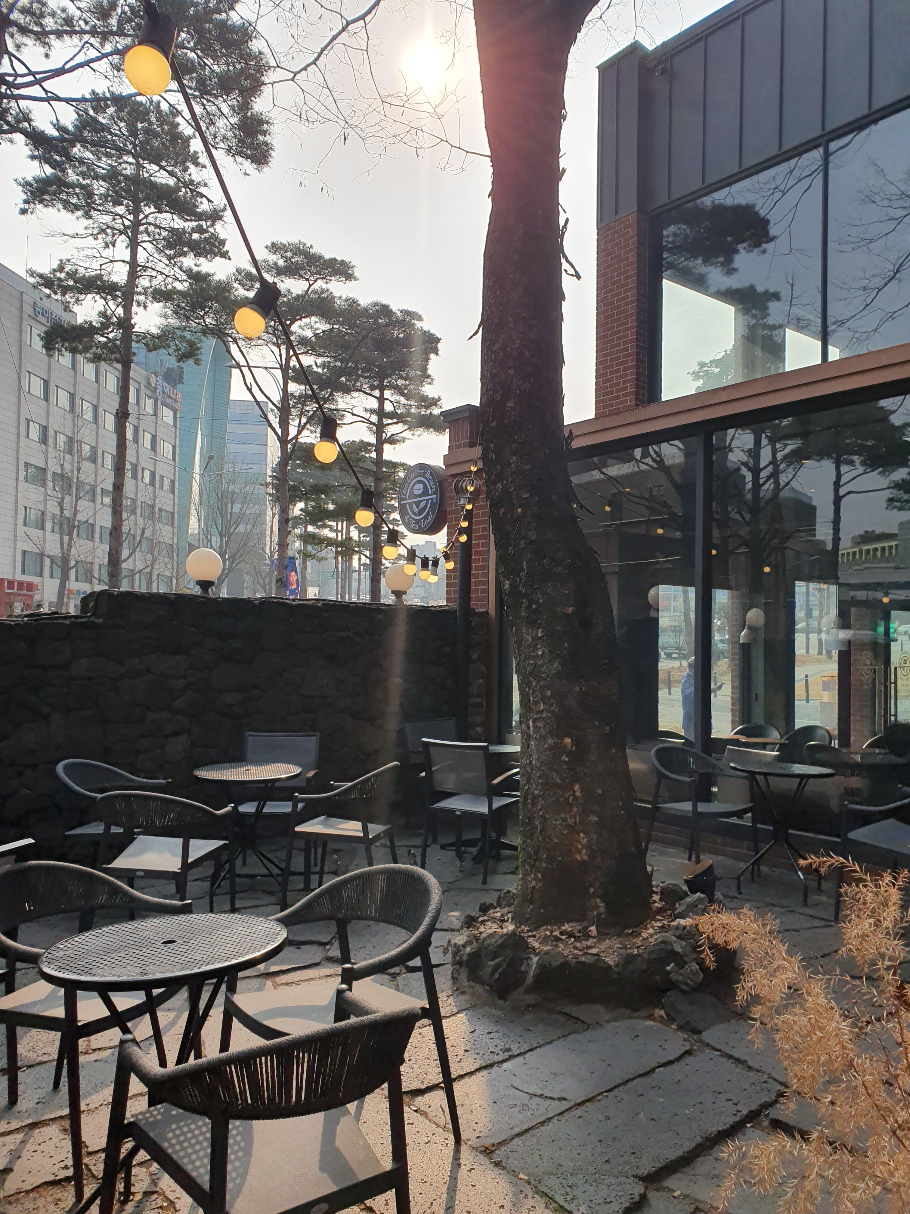커피빈 마당