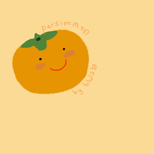 감 효능, 부작용, 보관방법