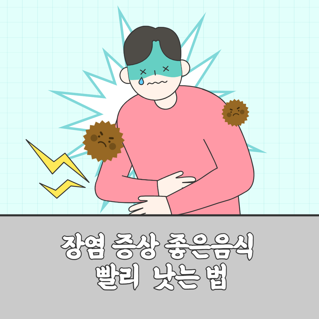 장염 증상 좋은음식 빨리낫는법