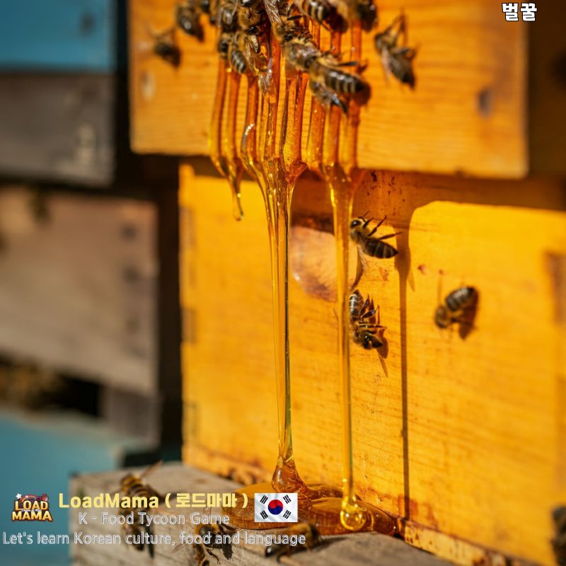 벌꿀과 벌통
