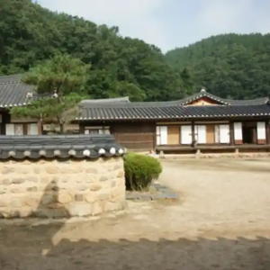 밤에피는꽃촬영지경북청송여행