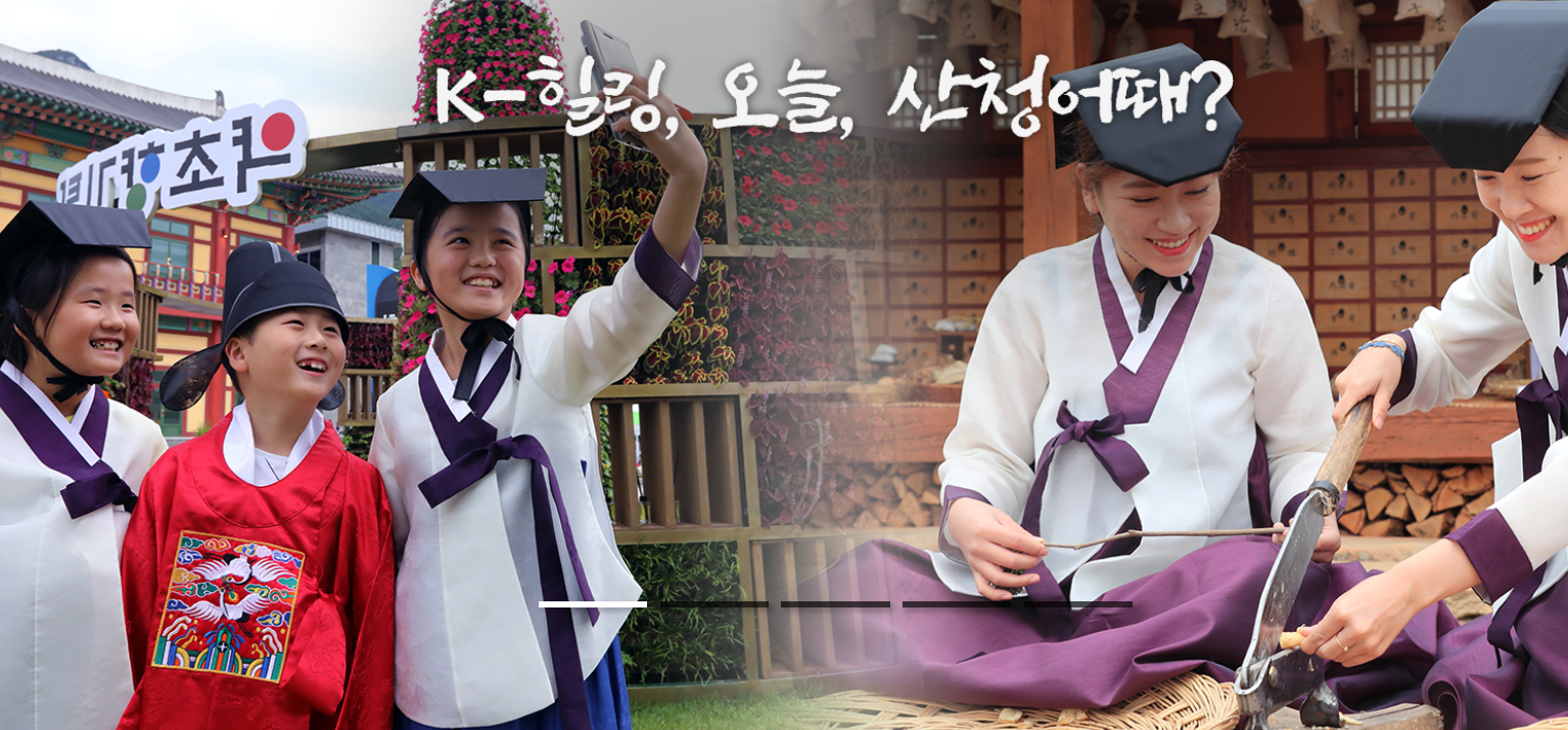 산청한방약초축제