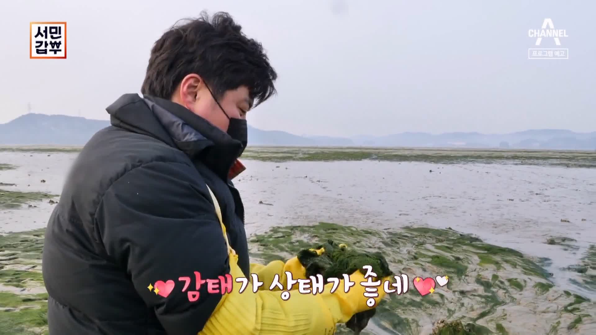 서민갑부 재래 전통 시장 국민 밥반찬 바다의 약초 김 감태 파는 연 매출 26억 원 청년 장사꾼 차현석 방송 정보