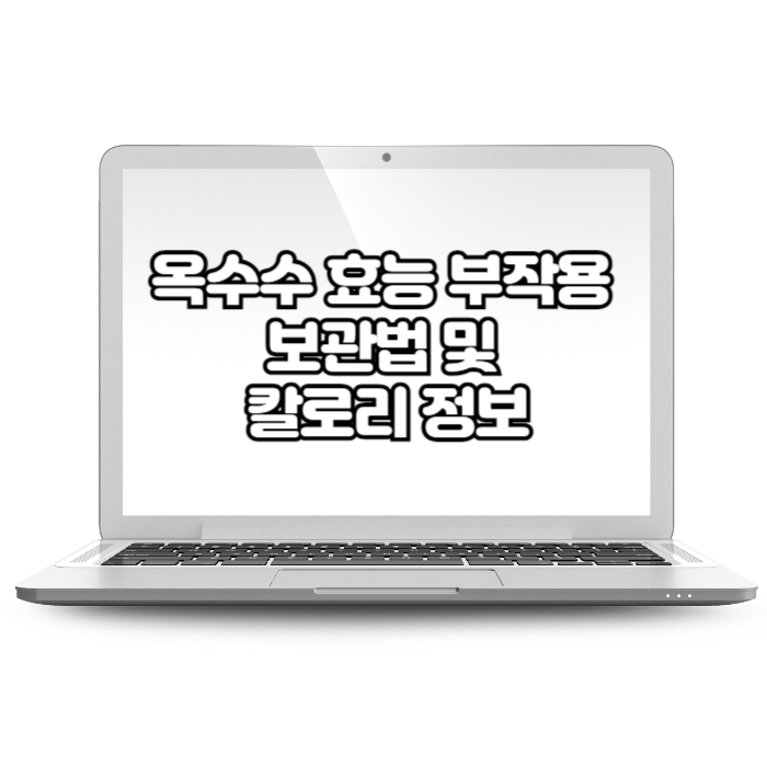옥수수 효능 부작용 보관법 및 칼로리 정보