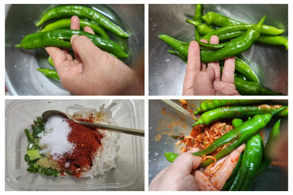 고추 소박이 만드는 순서