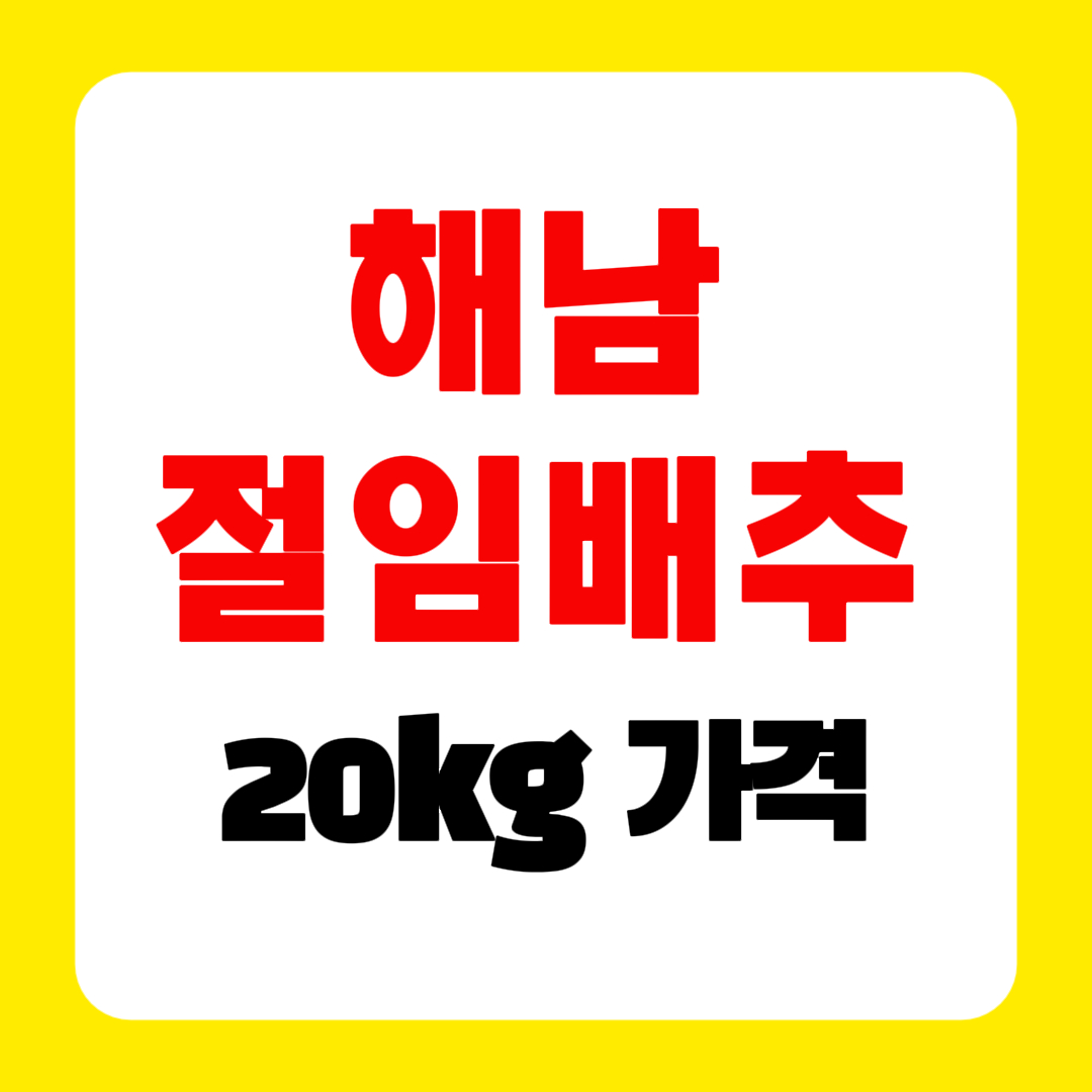 해남 절임배추 20kg 가격, 믿고 사는 최저가 구매처 총정리, 김장 100% 성공팁